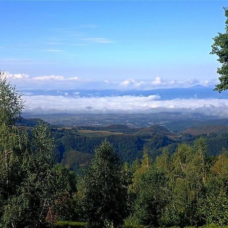 Cabana Piatra Plaiului Villa Budureasa Exterior foto