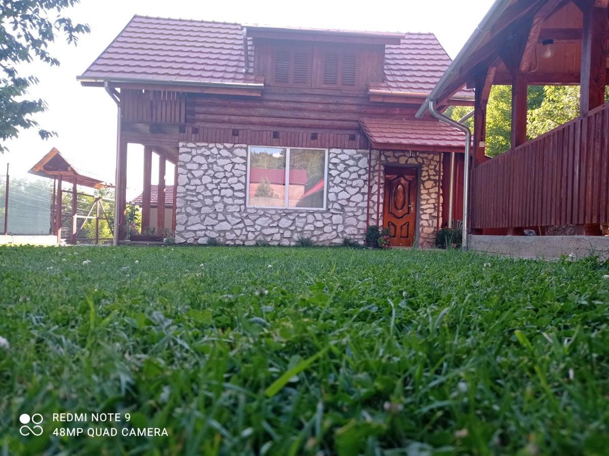 Cabana Piatra Plaiului Villa Budureasa Exterior foto