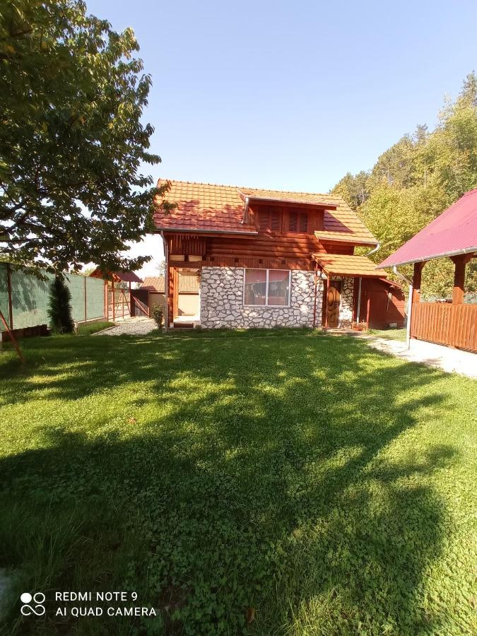 Cabana Piatra Plaiului Villa Budureasa Exterior foto