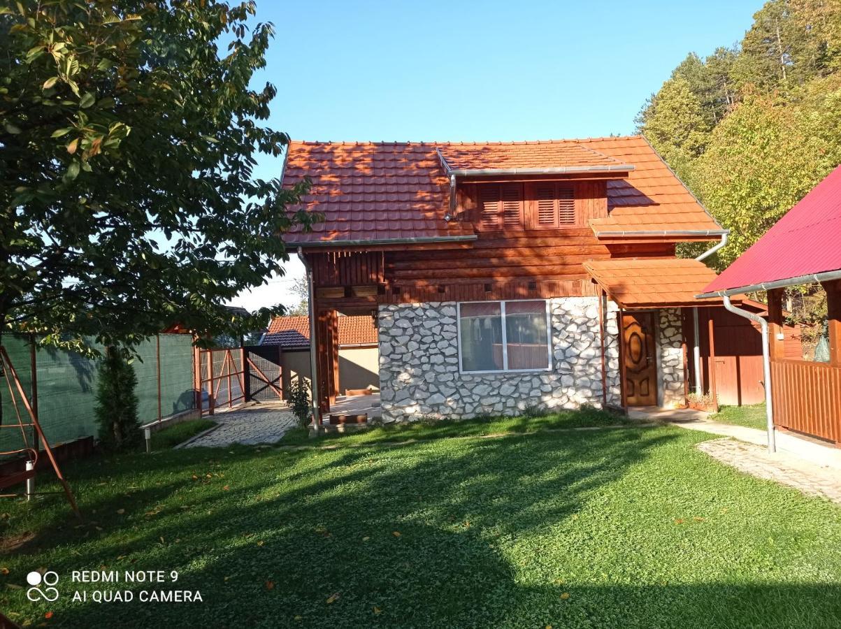 Cabana Piatra Plaiului Villa Budureasa Exterior foto