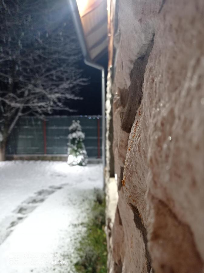 Cabana Piatra Plaiului Villa Budureasa Exterior foto