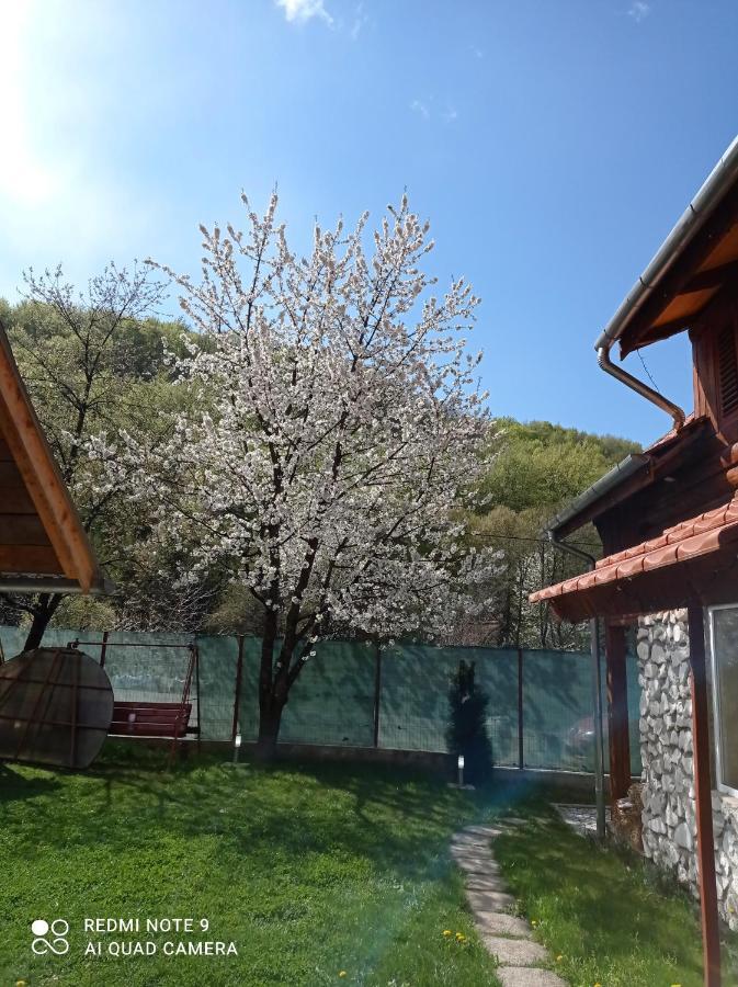 Cabana Piatra Plaiului Villa Budureasa Exterior foto