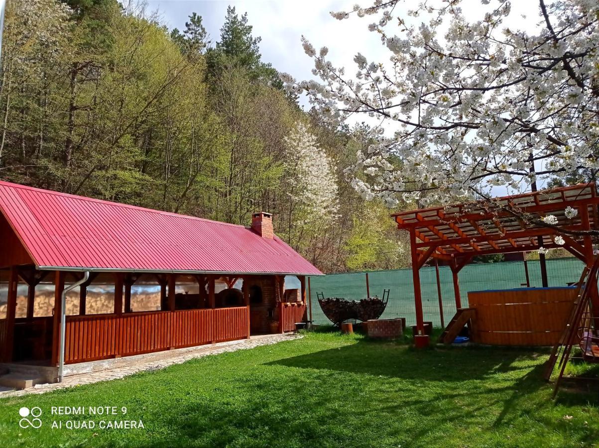 Cabana Piatra Plaiului Villa Budureasa Exterior foto